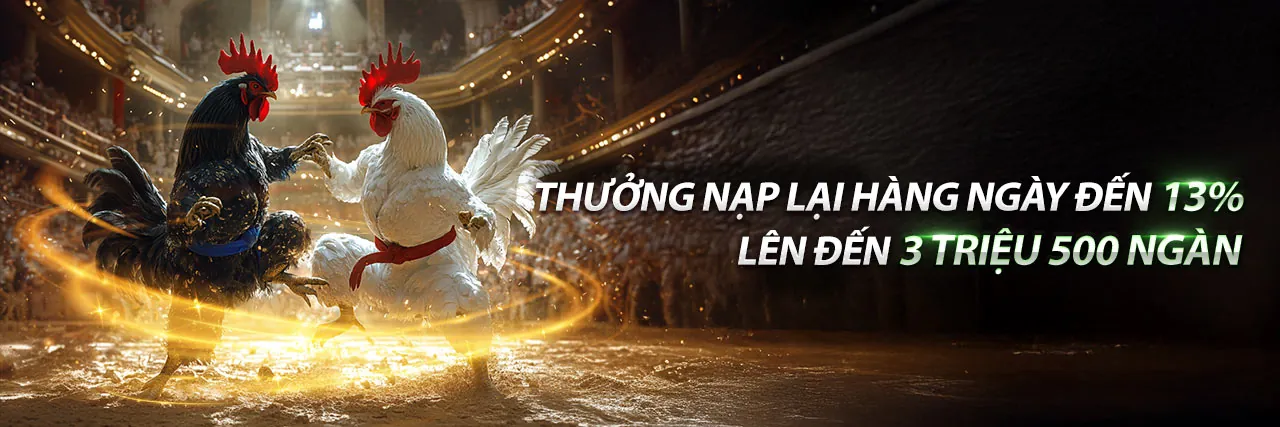 Sân đấu gà trực tuyến kịch tính tại viva8 link mới